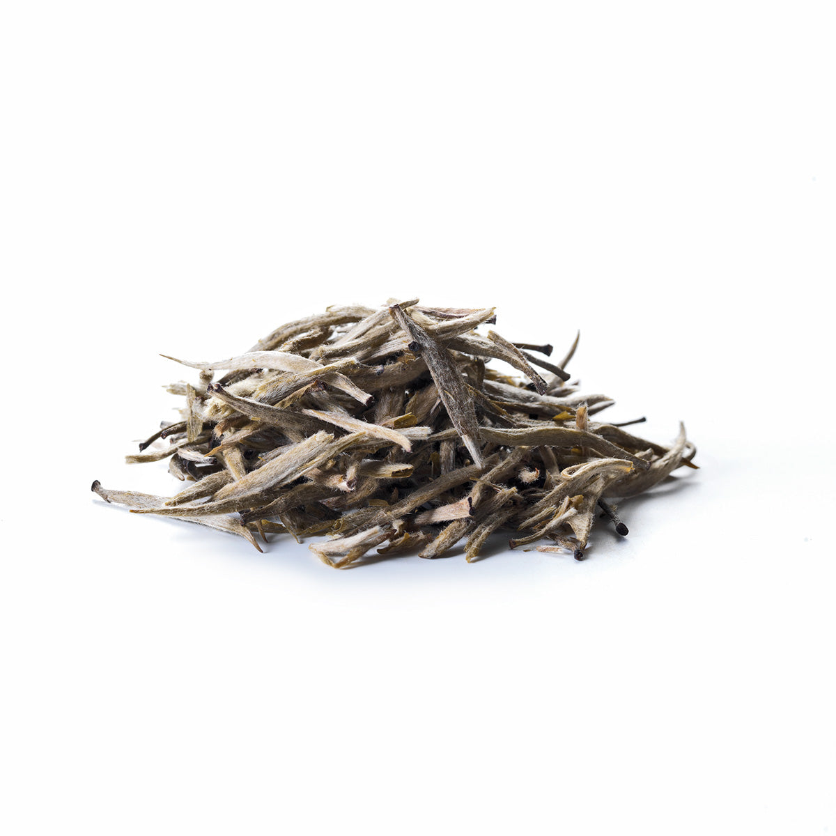 White Silver Needle